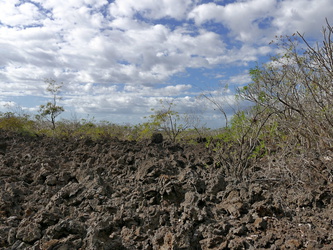 Masaya Nationalpark - Lavafeld