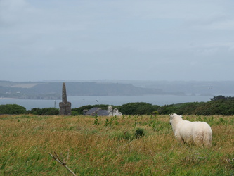 Caldey Island - Landschaft 
