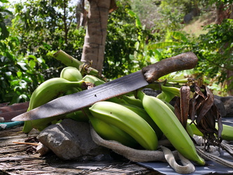 Bananen mit Machete