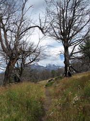 Wanderweg an der Laguna Azul mit Blick auf die Torres del Paine