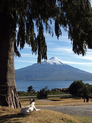 Blick zum Osorno-Vulkan