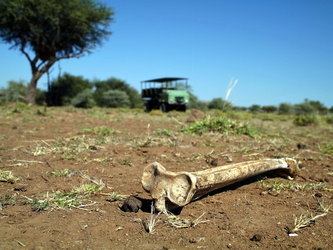 Mount Etjo Safari Lodge