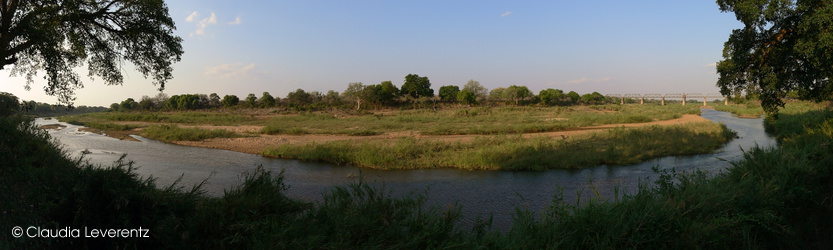 Panoramablick von der Skukuza-Lodge auf den Fluß