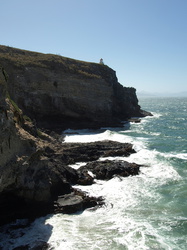Klippen an der Otago Halbinsel