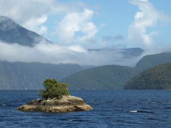 Kleine Insel im Doubtful Sound
