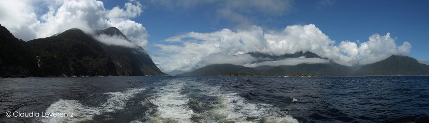 Panoramablick im Doubtful Sound
