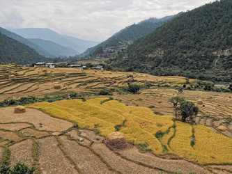 Landschaft bei Punakha