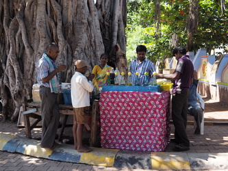 Limonadenverkauf unter einem alten Baum