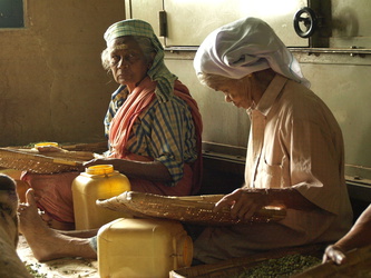 Arbeiterinnen in der Kardamom-Frabrik