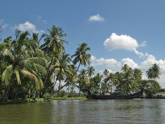 Palmenidylle in den Backwaters