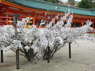 Wunschbaum am Heian-jingu 