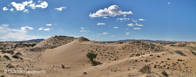 Sanddünen von Mongol Els
