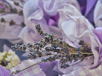 Lavendel auf dem Markt