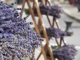 Lavendel-Bouquets