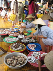 Fischmarkt in Hoi An