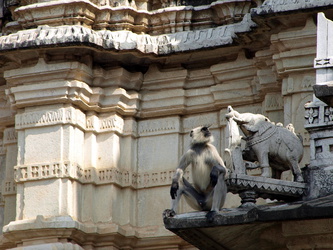 Affe an der Fassade des Tempels