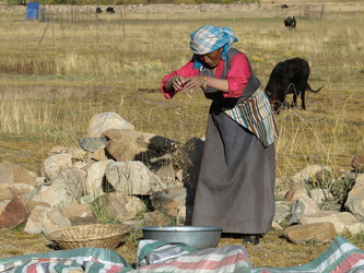 Tibeterin bei der Feldarbeit