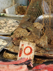 Fat Yuen Street Market