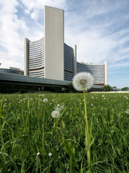 United Nations Office 