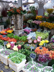 Blumenmarkt