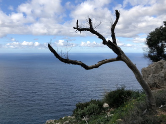 Mirador de Ricardo Roca