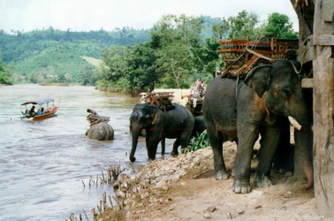 Am Ende des Elefantentrecks