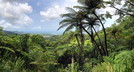 Mount Alexandria Outlook