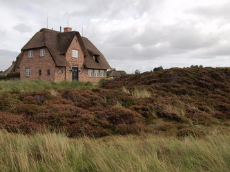 Sylt - Kampen