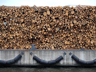 Wismar - Holzstapel am Hafen