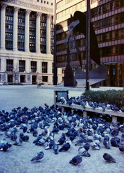 Chicago - Picasso Sculpture