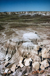 Petrified Forest