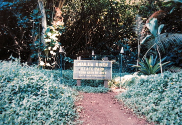 Kauai - Fern Grotto