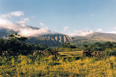 Maui - Landschaft