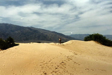 Death Valley - Sand Dunes