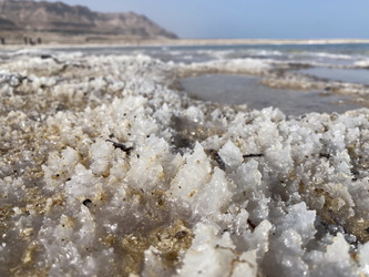 Salzkristalle am Ufer