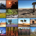 Kalender 2021 - Bäume2.jpg