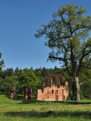 Boitzenburger Land - Klosterruine