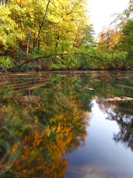 Naturschutzgebiet Schlaubetal - Herbst