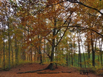 Naturschutzgebiet Schlaubetal - Herbst