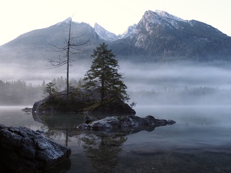 Ramsau - Morgennebel am Hintersee