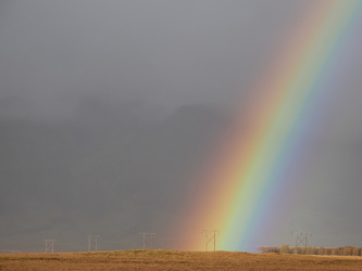 Regenbogen