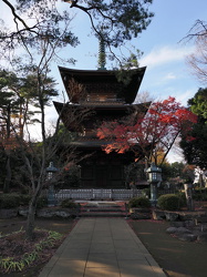 Gotokuji Tempel